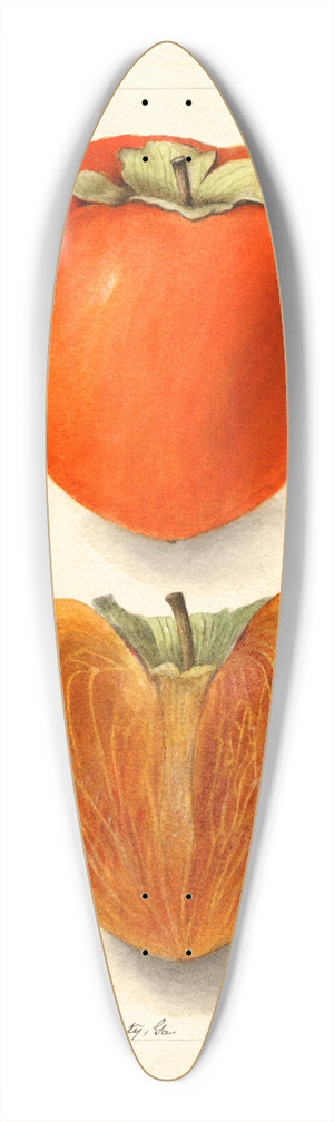 Deborah Griscom Passmore - Diospyros: Axtill 39.3 inch art pintail longboard deck