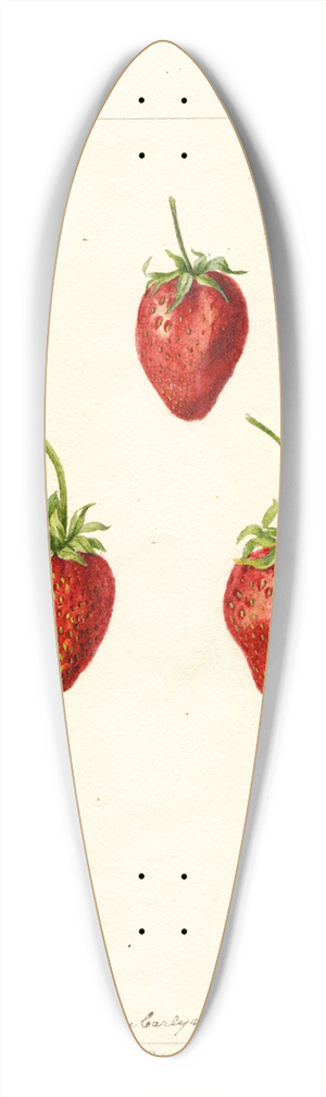 Deborah Griscom Passmore - Fragaria: Maida 39.3 inch art pintail longboard deck