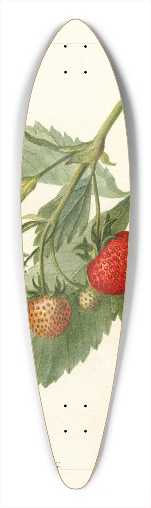 Deborah Griscom Passmore - Fragaria: Thompson 39.3 inch art pintail longboard deck