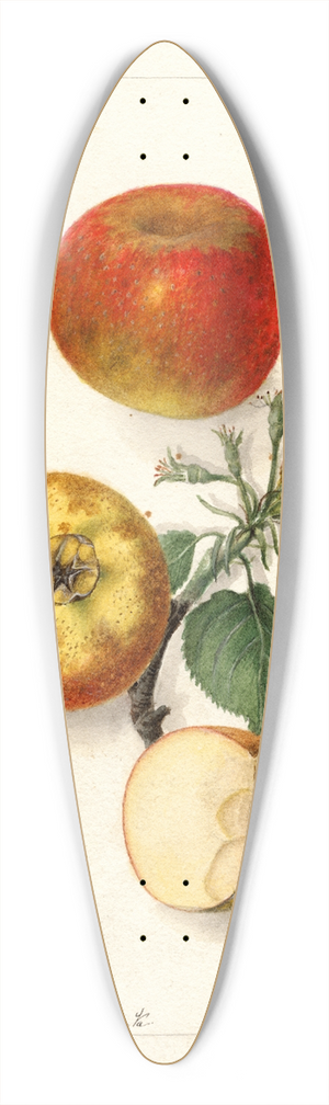 Deborah Griscom Passmore - Malus domestica 39.3 inch art pintail longboard deck