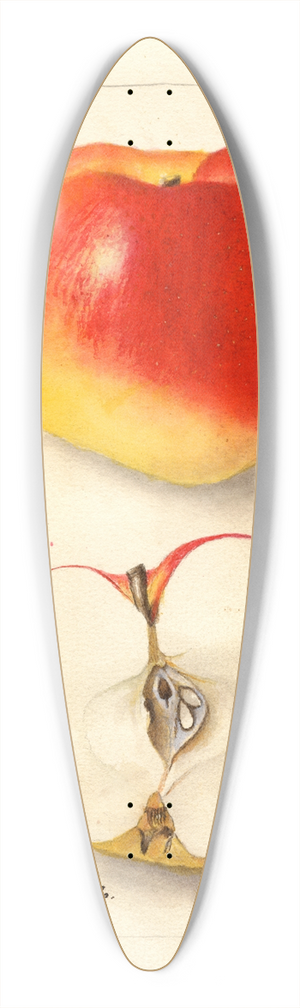 Deborah Griscom Passmore - Malus domestica: Ewalt 39.3 inch art pintail longboard deck