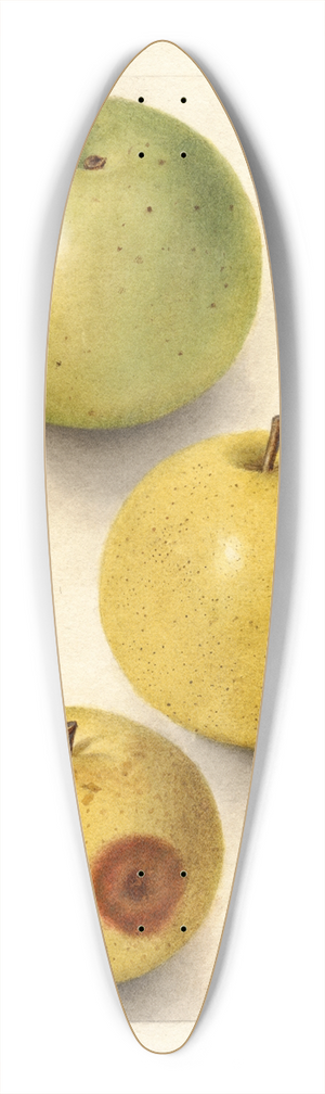 Deborah Griscom Passmore - Malus domestica: Grimes 39.3 inch art pintail longboard deck
