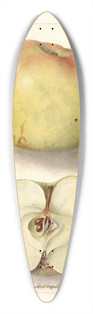 Deborah Griscom Passmore - Malus domestica: Sklanka Bogdanoff 39.3 inch art pintail longboard deck