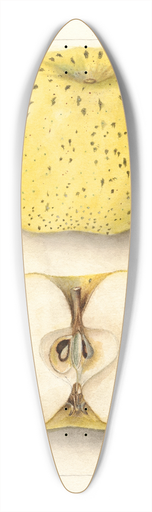 Deborah Griscom Passmore - Malus domestica: White Pippin 39.3 inch art pintail longboard deck