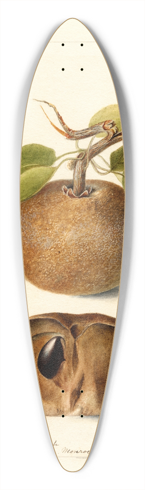 Deborah Griscom Passmore - Manilkara zapota 39.3 inch art pintail longboard deck