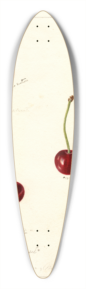 Deborah Griscom Passmore - Prunus avium 39.3 inch art pintail longboard deck