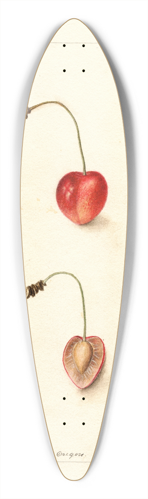 Deborah Griscom Passmore - Prunus avium: Shelton 39.3 inch art pintail longboard deck