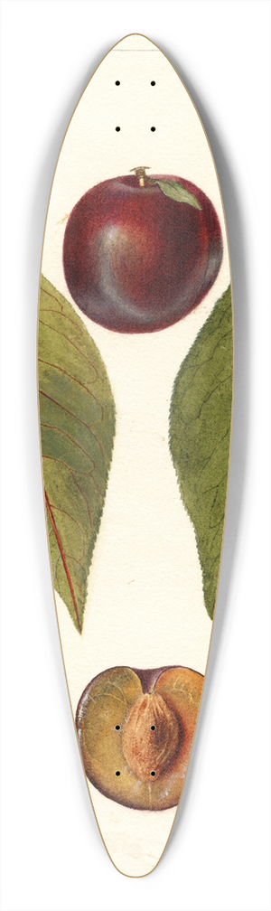 Deborah Griscom Passmore - Prunus domestica: Pander 39.3 inch art pintail longboard deck