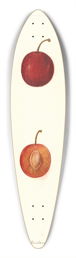 Deborah Griscom Passmore - Prunus domestica: Warren 39.3 inch art pintail longboard deck
