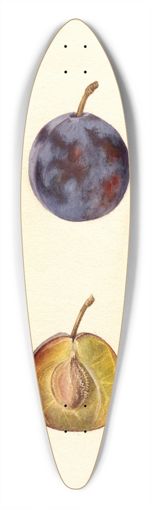 Deborah Griscom Passmore - Prunus domestica: White Queen 39.3 inch art pintail longboard deck