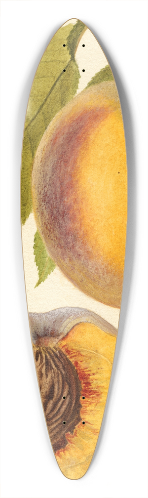 Deborah Griscom Passmore - Prunus persica: Marcella 39.3 inch art pintail longboard deck