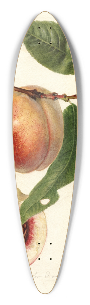 Deborah Griscom Passmore - Prunus persica: Nysson 39.3 inch art pintail longboard deck