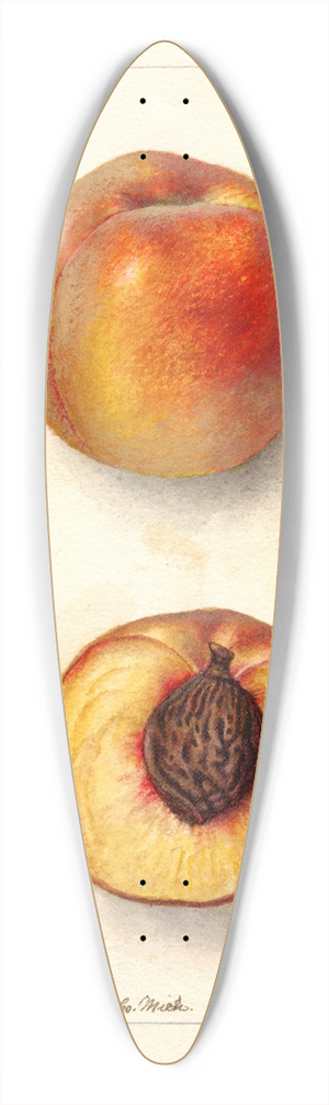 Deborah Griscom Passmore - Prunus persica: Worthen 39.3 inch art pintail longboard deck