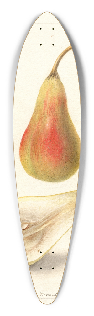 Deborah Griscom Passmore - Pyrus communis: French Jargonelle 39.3 inch art pintail longboard deck