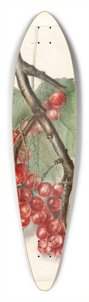 Deborah Griscom Passmore - Ribes: Perfection 39.3 inch art pintail longboard deck