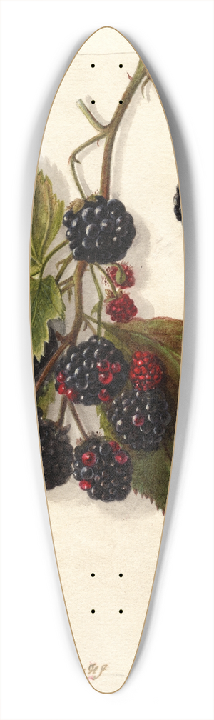 Deborah Griscom Passmore - Rubus: Blowers 39.3 inch art pintail longboard deck