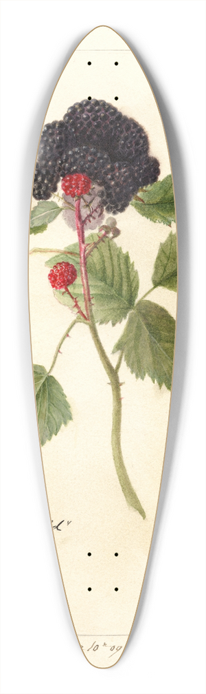 Deborah Griscom Passmore - Rubus: Winfield 39.3 inch art pintail longboard deck