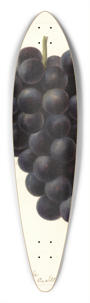 Deborah Griscom Passmore - Vitis: McPike 39.3 inch art pintail longboard deck