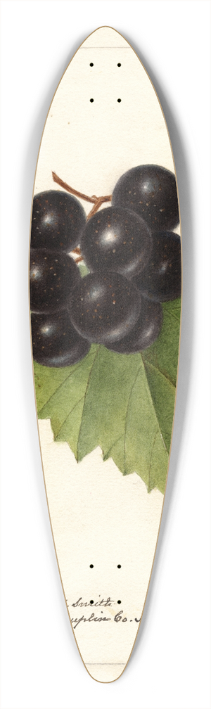 Deborah Griscom Passmore - Vitis: Smiths Improved 39.3 inch art pintail longboard deck