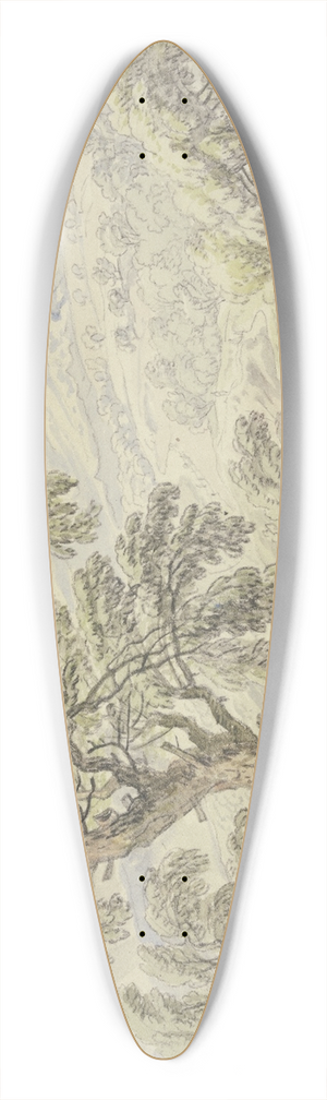 Dirk Maas - Landschaft im Sturm und Regen 39.3 inch art pintail longboard deck