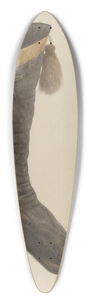 Dorothy Dwin - Ladys Boot 39.3 inch art pintail longboard deck