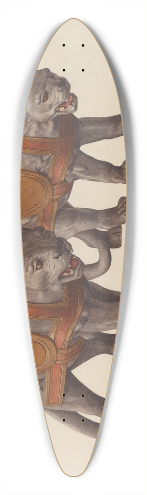 Dorothy Handy - Carousel Panthers 39.3 inch art pintail longboard deck