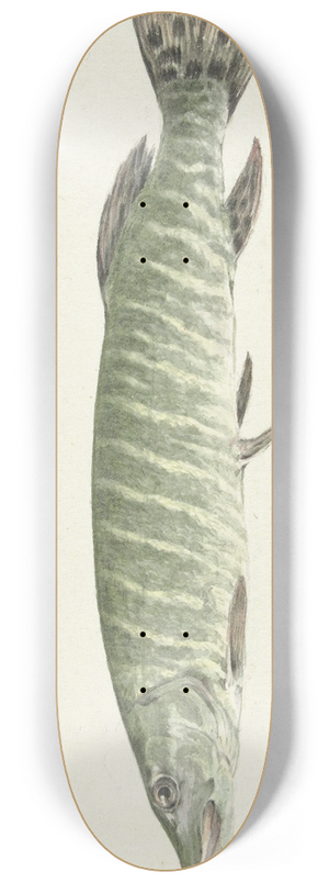 Jean Bernard - Snoek 8.25 inch art skate deck