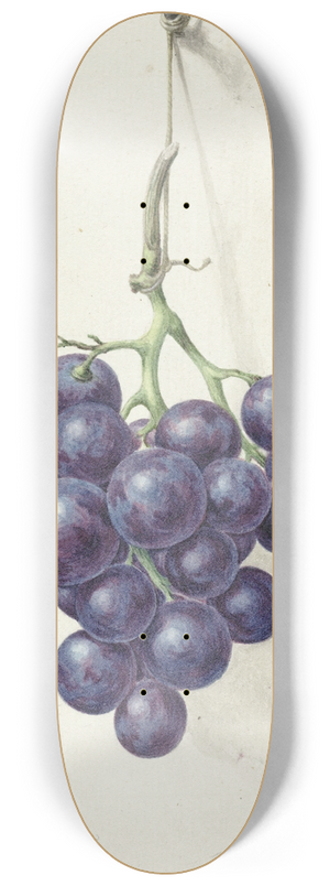 Jean Bernard - Tros blauwe druiven 8.25 inch art skate deck