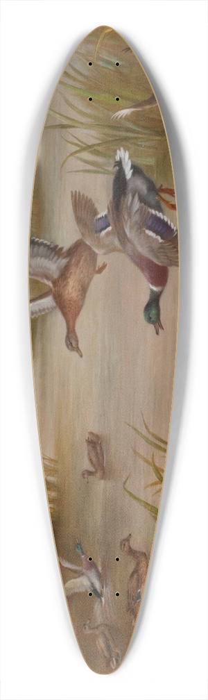 Edgar Hunt - Ducks in Flight 39.3 inch art pintail longboard deck