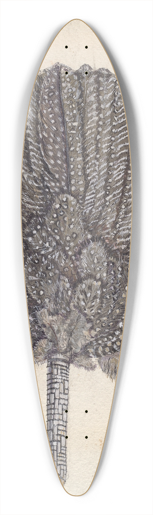 Edna C. Rex - Fan 39.3 inch art pintail longboard deck
