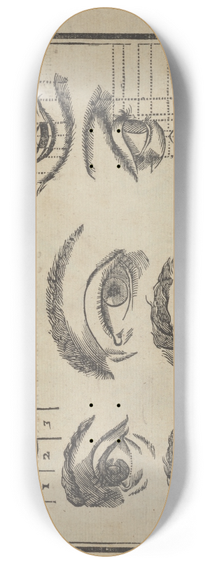 Jean Cousin the Younger - Lart de dessiner de Maistre Jean Cousin Pl.02 8.25 inch art skate deck Jean Cousin the Younger - Lart de dessiner de Maistre Jean Cousin Pl.02 8.25 inch art skate deck