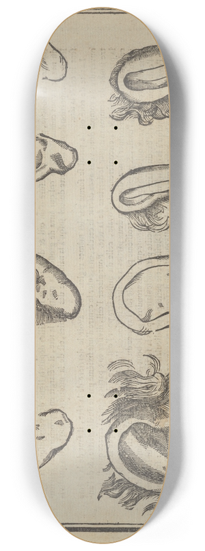 Jean Cousin the Younger - Lart de dessiner de Maistre Jean Cousin Pl.03 8.25 inch art skate deck Jean Cousin the Younger - Lart de dessiner de Maistre Jean Cousin Pl.03 8.25 inch art skate deck