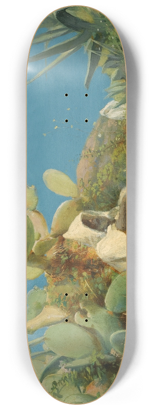 Jean Discart - Tangiers 8.25 inch art skate deck