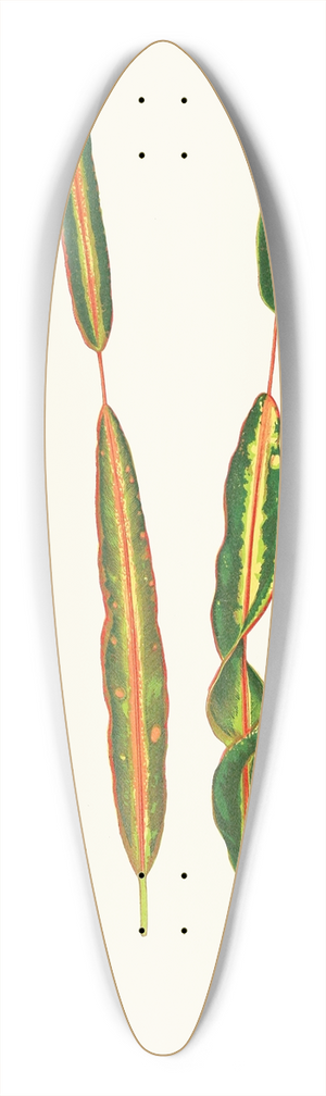 Edward Joseph Lowe - Codlaeum Interruptum 39.3 inch art pintail longboard deck