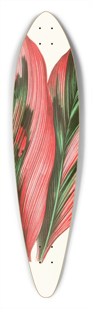 Edward Joseph Lowe - Dracaena Terminalis 39.3 inch art pintail longboard deck