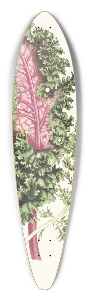 Edward Joseph Lowe - Lesplantesfeuill02lowe 39.3 inch art pintail longboard deck