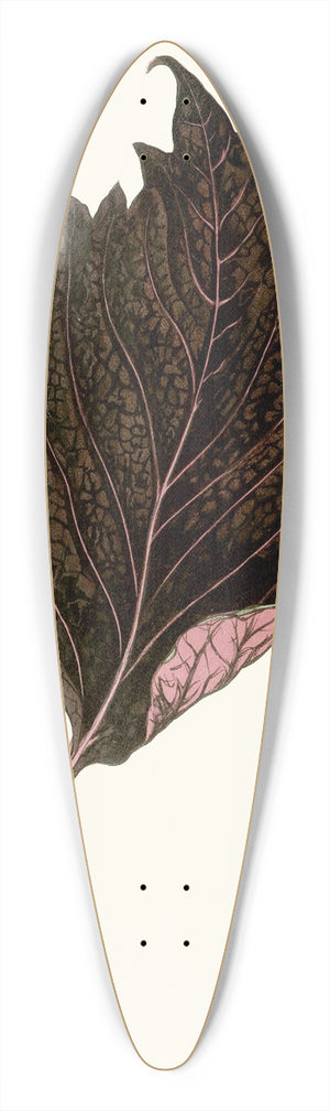 Edward Joseph Lowe - Perilla Nankinensis 39.3 inch art pintail longboard deck