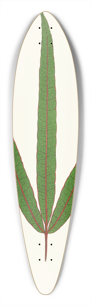Edward Joseph Lowe - Terminalia Elegans 39.3 inch art pintail longboard deck