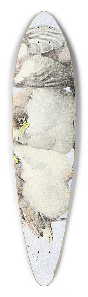 Edward Julius Detmold - The Long-Tailed Tit 39.3 inch art pintail longboard deck