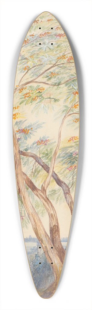Edward Lear - Tree Study, Trichinopoly, India 39.3 inch art pintail longboard deck