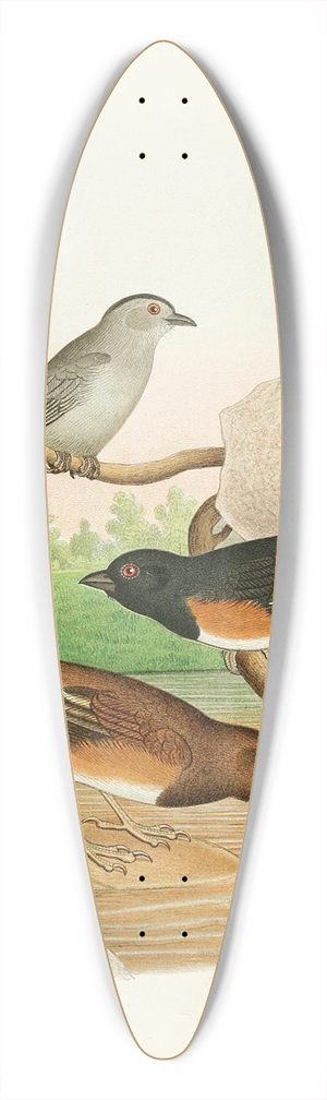 Edwin L. Sheppard - Catbird, Towhee Buntings 39.3 inch art pintail longboard deck