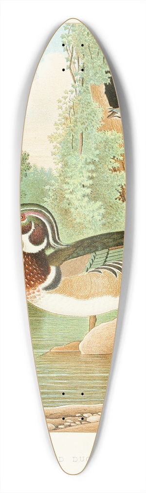 Edwin L. Sheppard - Wood Duck 39.3 inch art pintail longboard deck