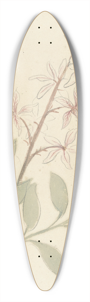 Elias van Nijmegen - Bloemstudie 39.3 inch art pintail longboard deck