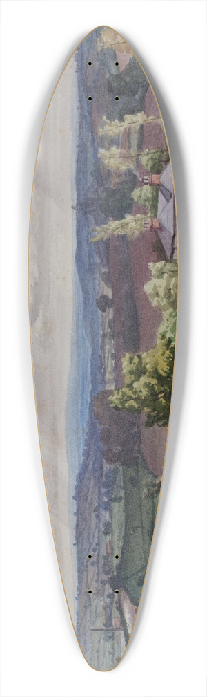 Elijah Walton - Low Hill 39.3 inch art pintail longboard deck