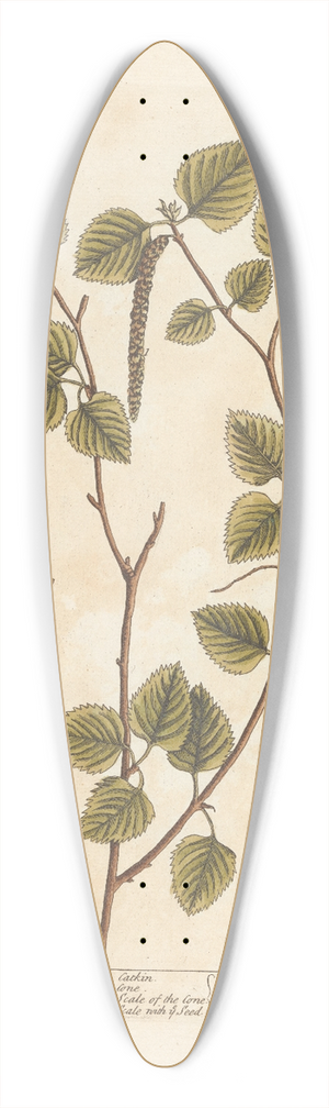 Elizabeth Blackwell - Birch 39.3 inch art pintail longboard deck
