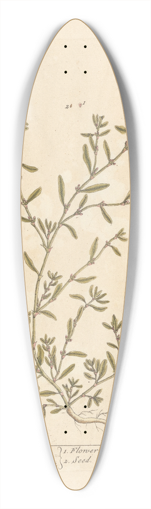Elizabeth Blackwell - Knot grass 39.3 inch art pintail longboard deck