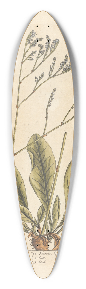 Elizabeth Blackwell - Sea lavender 39.3 inch art pintail longboard deck