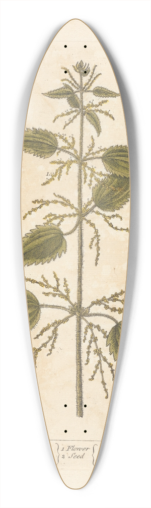 Elizabeth Blackwell - Stinging nettle 39.3 inch art pintail longboard deck