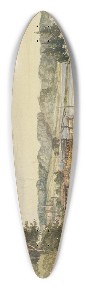 Elizabeth Murray - View from Sydney 39.3 inch art pintail longboard deck