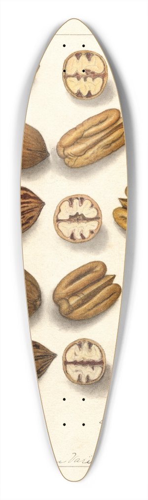 Ellen Isham Schutt - Carya illinoinensis 39.3 inch art pintail longboard deck